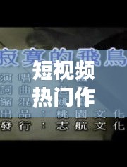 短視頻熱門作品熱門歌曲，短視頻經(jīng)典歌曲 