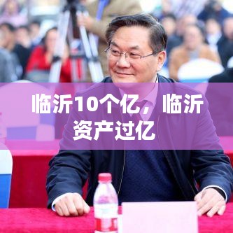 臨沂10個(gè)億，臨沂資產(chǎn)過億 