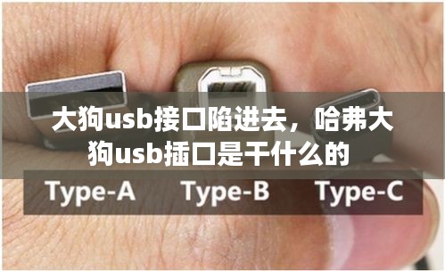 大狗usb接口陷進去，哈弗大狗usb插口是干什么的 