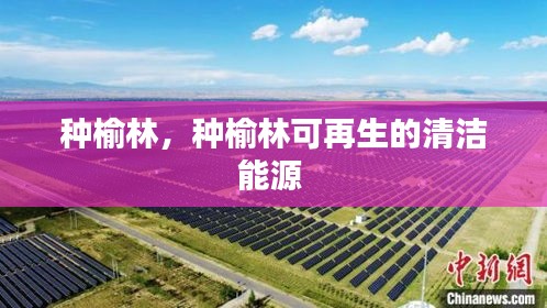 種榆林，種榆林可再生的清潔能源 