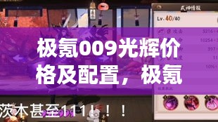 極氪009光輝價(jià)格及配置，極氪zero價(jià)格 