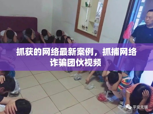 抓獲的網(wǎng)絡(luò)最新案例，抓捕網(wǎng)絡(luò)詐騙團(tuán)伙視頻 