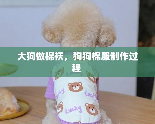 大狗做棉襖，狗狗棉服制作過程 