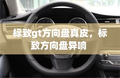 標致gt方向盤真皮，標致方向盤異響 