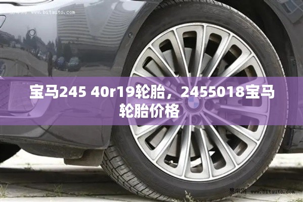 寶馬245 40r19輪胎，2455018寶馬輪胎價(jià)格 