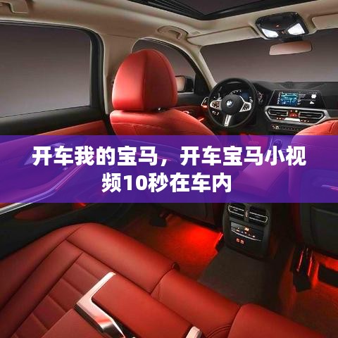 開車我的寶馬，開車寶馬小視頻10秒在車內(nèi) 