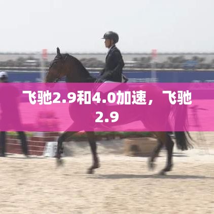 飛馳2.9和4.0加速，飛馳 2.9 