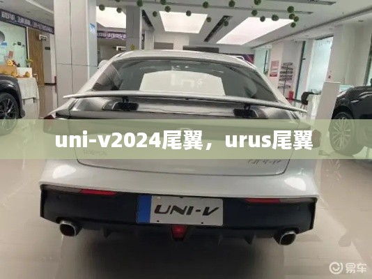 uni-v2024尾翼，urus尾翼 