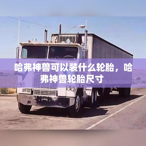 哈弗神獸可以裝什么輪胎，哈弗神獸輪胎尺寸 