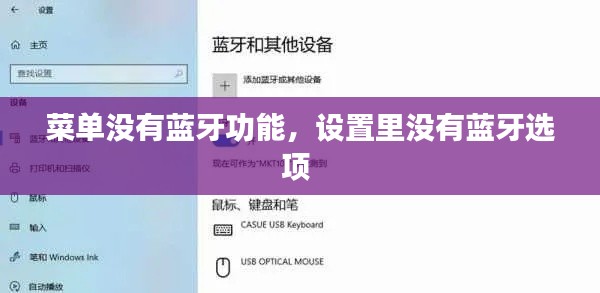 菜單沒(méi)有藍(lán)牙功能，設(shè)置里沒(méi)有藍(lán)牙選項(xiàng) 