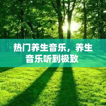 熱門養(yǎng)生音樂，養(yǎng)生音樂聽到極致 