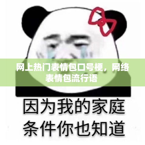 網(wǎng)上熱門表情包口號梗，網(wǎng)絡表情包流行語 