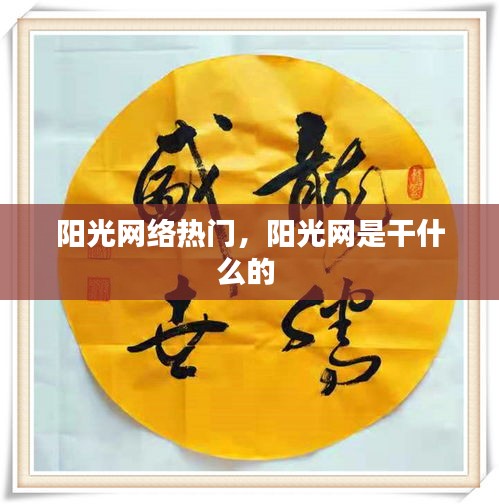 陽(yáng)光網(wǎng)絡(luò)熱門，陽(yáng)光網(wǎng)是干什么的 