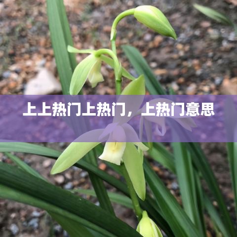 上上熱門上熱門，上熱門意思 