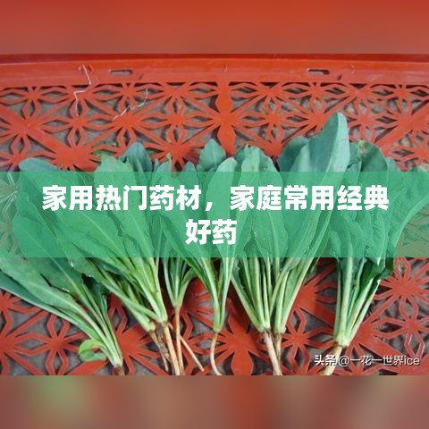 家用熱門(mén)藥材，家庭常用經(jīng)典好藥 