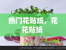 熱門花貼紙，花花貼紙 