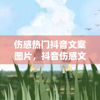 傷感熱門抖音文案圖片，抖音傷感文案大全,抖音爆火文案 