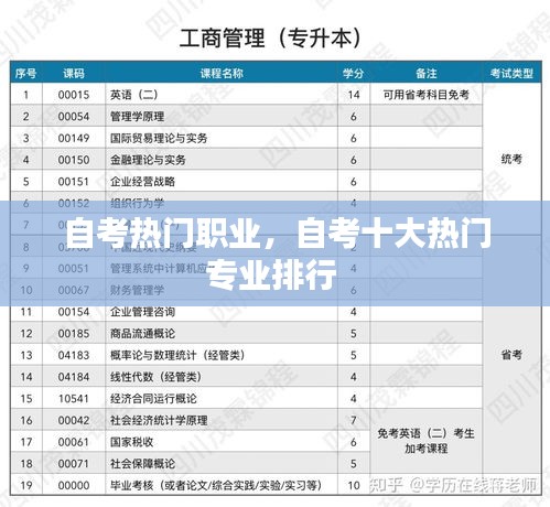 自考熱門(mén)職業(yè)，自考十大熱門(mén)專業(yè)排行 