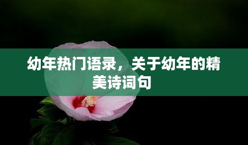 幼年熱門(mén)語(yǔ)錄，關(guān)于幼年的精美詩(shī)詞句 