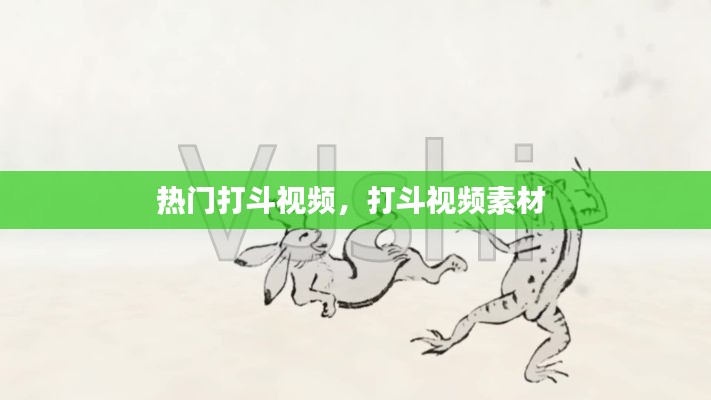 熱門打斗視頻，打斗視頻素材 
