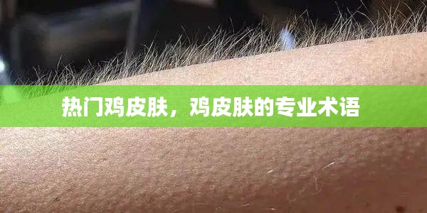 熱門雞皮膚，雞皮膚的專業(yè)術(shù)語 