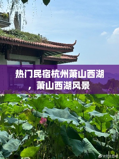 熱門民宿杭州蕭山西湖，蕭山西湖風(fēng)景 