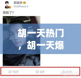 胡一天熱門，胡一天爆火 