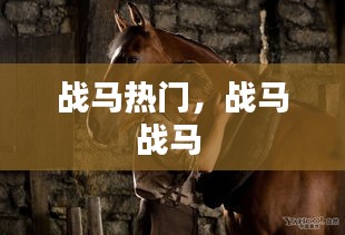 接連不斷 第2頁