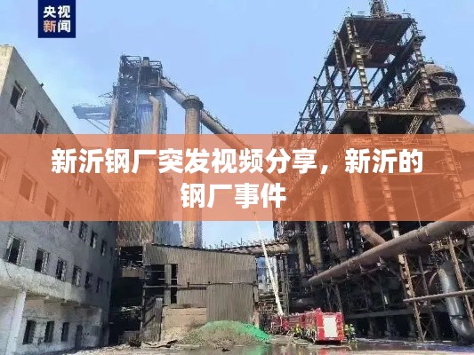 新沂鋼廠突發(fā)視頻分享，新沂的鋼廠事件 