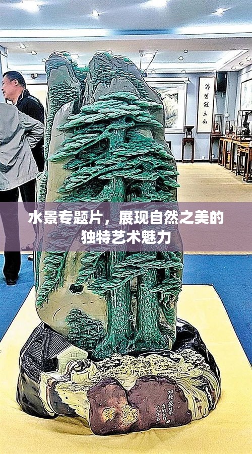 水景專題片，展現(xiàn)自然之美的獨(dú)特藝術(shù)魅力
