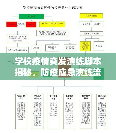 學(xué)校疫情突發(fā)演練腳本揭秘，防疫應(yīng)急演練流程全解析！