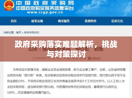 政府采購落實(shí)難題解析，挑戰(zhàn)與對(duì)策探討