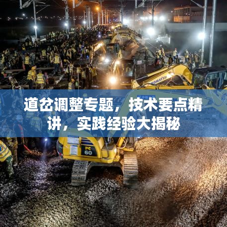 道岔調(diào)整專題，技術(shù)要點(diǎn)精講，實(shí)踐經(jīng)驗(yàn)大揭秘