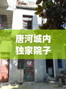 唐河城內(nèi)獨(dú)家院子出售，唐河縣獨(dú)家小院房價 
