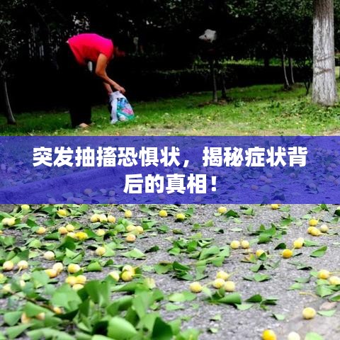突發(fā)抽搐恐懼狀，揭秘癥狀背后的真相！