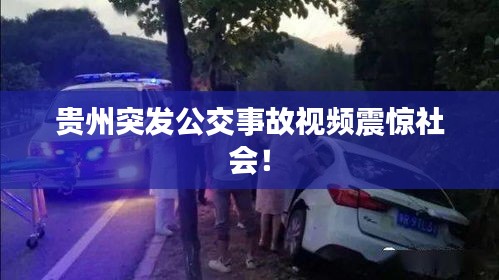 手不釋卷 第2頁