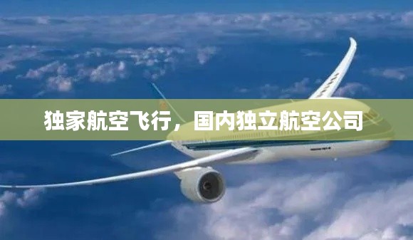 獨(dú)家航空飛行，國(guó)內(nèi)獨(dú)立航空公司 