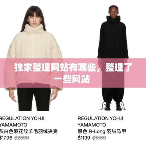 獨(dú)家整理網(wǎng)站有哪些，整理了一些網(wǎng)站 