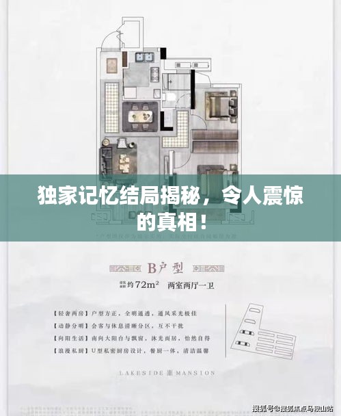 獨家記憶結(jié)局揭秘，令人震驚的真相！