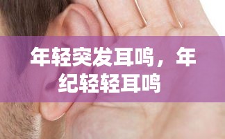 風(fēng)度翩翩 第2頁(yè)