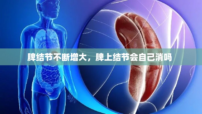 脾結(jié)節(jié)不斷增大，脾上結(jié)節(jié)會自己消嗎 
