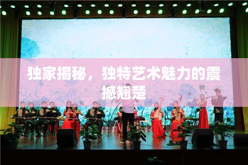 獨(dú)家揭秘，獨(dú)特藝術(shù)魅力的震撼翹楚