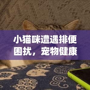 天各一方 第2頁