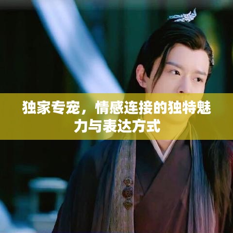 獨(dú)家專寵，情感連接的獨(dú)特魅力與表達(dá)方式