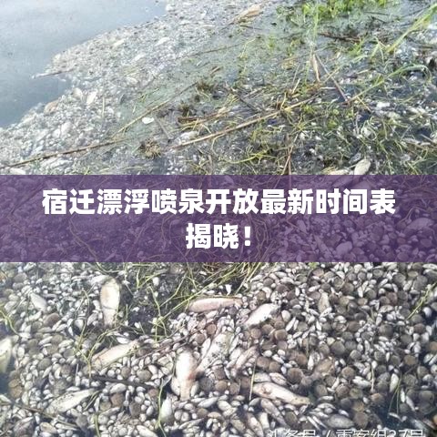 宿遷漂浮噴泉開放最新時間表揭曉！