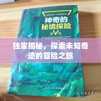 絕代佳人 第2頁