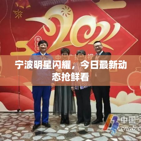 寧波明星閃耀，今日最新動態(tài)搶鮮看