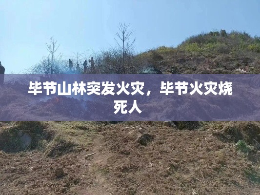 畢節(jié)山林突發(fā)火災(zāi)，畢節(jié)火災(zāi)燒死人 