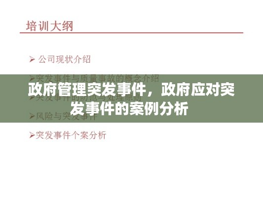 政府管理突發(fā)事件，政府應對突發(fā)事件的案例分析 