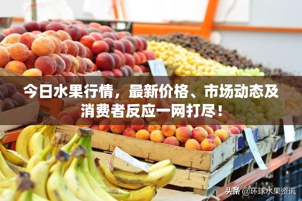 今日水果行情，最新價(jià)格、市場動(dòng)態(tài)及消費(fèi)者反應(yīng)一網(wǎng)打盡！
